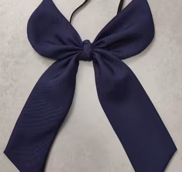 Picture of Moña escolar.